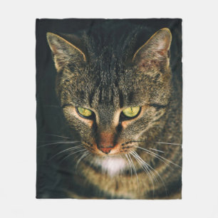 NAH-UP-FOTOGRAFIE DER GRAUTABBY-KATZE FLEECEDECKE