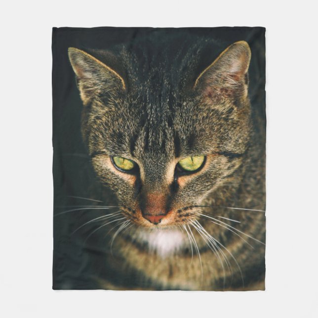 NAH-UP-FOTOGRAFIE DER GRAUTABBY-KATZE FLEECEDECKE (Vorderseite)