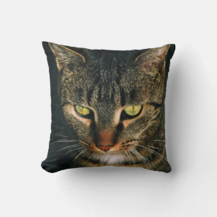 NAH-UP-FOTOGRAFIE DER GRAUTABBY-KATZE KISSEN