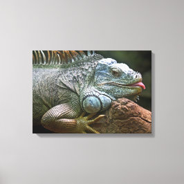 Nah-Up-Leinwand von Iguana Leinwanddruck