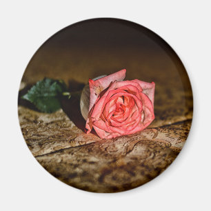 Nah-Up-Magnet der Rose Magnet