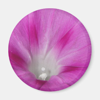 Nah-up Morning Glory Magnet