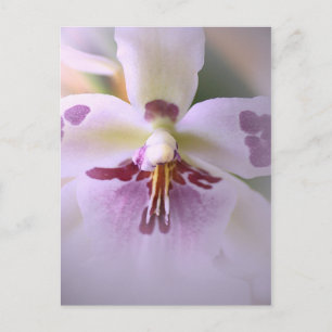 Nah-up-Orchideenkarte Postkarte