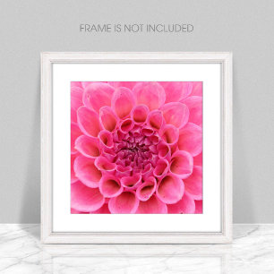 Nah-up-Pink-Blume-Poster Poster