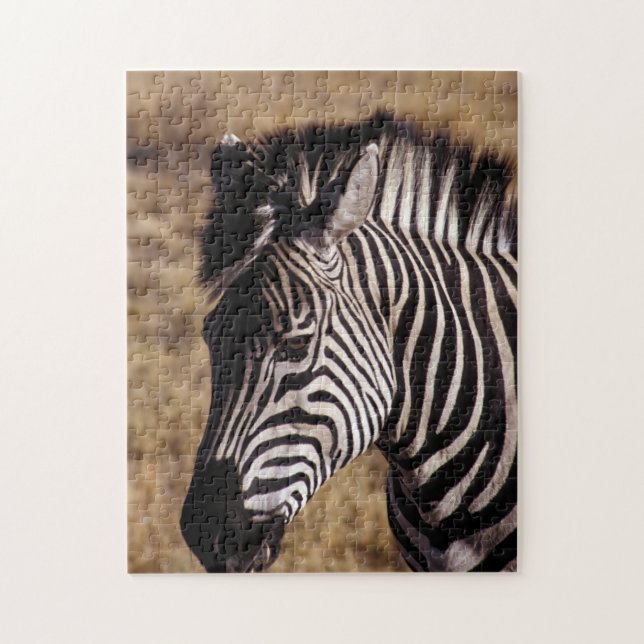 Nah-up-Porträt eines Zebra - Simbabwe, Afrika Puzzle (Vertikal)