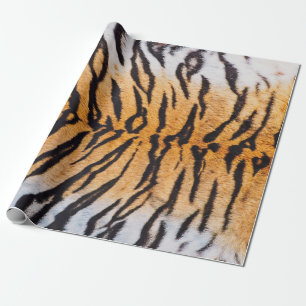 Nah-Up Shot of Real Indo-Chinese Tiger (Panthera) Geschenkpapier
