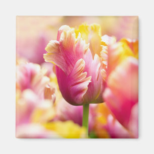 Nah-up-Tulips Magnet
