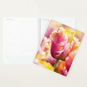 Nah-up-Tulips Planer