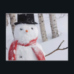 Nah-Up von Snowman mit Scarf und Top Hat Feiertagspostkarte<br><div class="desc">Naher Schneemann, der einen Scarf und einen schwarzen Top-Hut trägt, Stehend in einem schneebedeckten Birkenwald, russischer Jack-Feenpark, Ankerplatz, südzentrale Alaska, Winter | Design Pics / DanitaDelimont.com | US02 DPI0887</div>