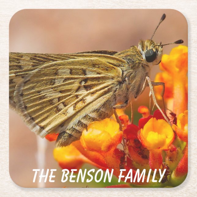 Nah-up Wild Moth Rechteckiger Pappuntersetzer (Vorderseite)