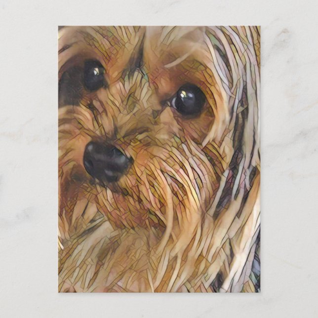 Nah-up Yorkshire Terrier Postcard Postkarte (Vorderseite)