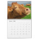 Nah-UPS-Kalender 2024 Kalender (Okt 2025)