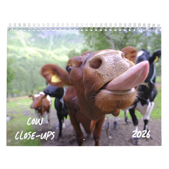 Nah-UPS-Kalender 2026 Kalender (Titelbild)