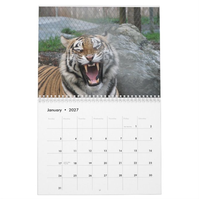 Nah ups von Gesichtern 2014 des wilden Tieres Kalender (Jan 2027)