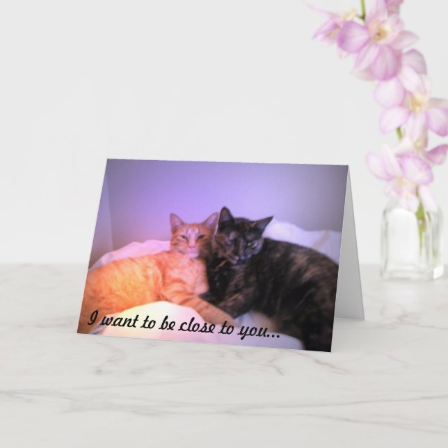 Nah zu Ihrer Grußkarte Karte (Orchidee)