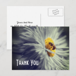 Nahaufnahme Biene auf Blüte Danke Postkarte