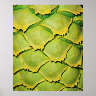 Nahaufnahme der Beschaffenheit und des Musters des Poster