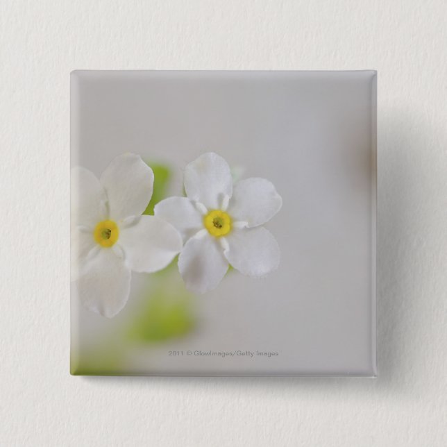 Nahaufnahme der Blumen Button (Vorderseite)