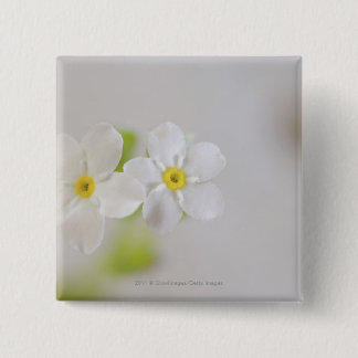 Nahaufnahme der Blumen Button