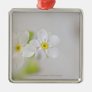 Nahaufnahme der Blumen Ornament Aus Metall