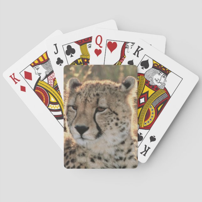 Nahaufnahme der Geparde Spielkarten (Rückseite)
