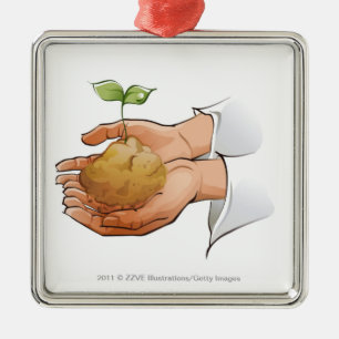 Nahaufnahme der Hände einer Person, die Sämling Silbernes Ornament