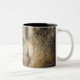 Nahaufnahme der Katze (Fokus auf Auge) Zweifarbige Tasse