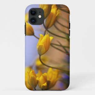 Nahaufnahme der Narzissen iPhone 11 Hülle