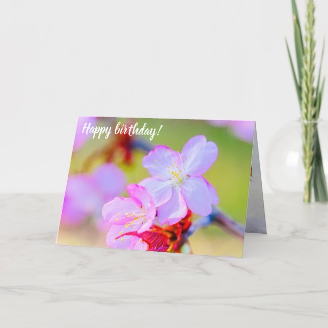 Nahaufnahme der rosa Sakura Kirschblüten Karte (Vorderseite)