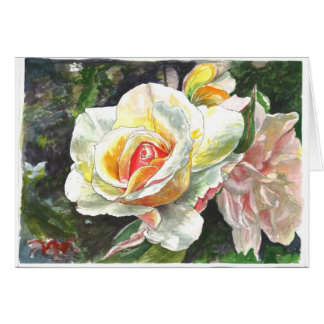Nahaufnahme der Rosen