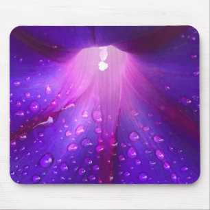 Nahaufnahme der taufeuchten Prunkwinde Mousepad