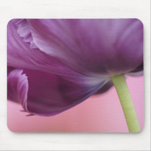 Nahaufnahme der Unterseite einer Tulpenblüte, Kuek Mousepad