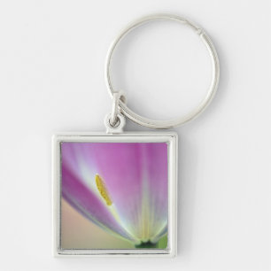Nahaufnahme der Unterseite einer Tulpenblüte, Kuek Schlüsselanhänger