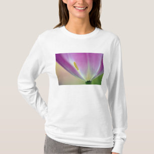 Nahaufnahme der Unterseite einer Tulpenblüte, Kuek T-Shirt