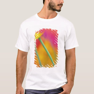 Nahaufnahme der Unterseite einer Tulpenblüte, T-Shirt