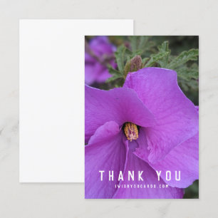 Nahaufnahme der violetten Hibiskusblüte