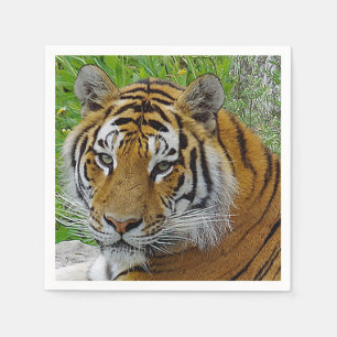 Nahaufnahme des Gesichts eines Sibirischen Tigers Serviette
