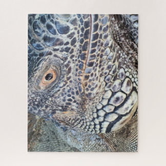 Nahaufnahme des Kopfes eines grünen Leguans. Herau Puzzle