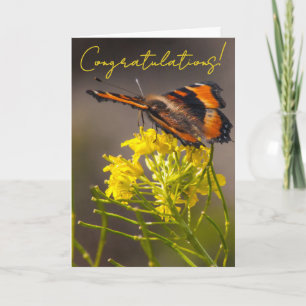 Nahaufnahme des Milbert-Tortoiseschmetterlings Karte