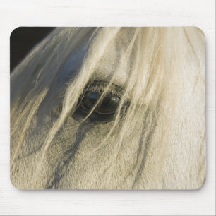 Nahaufnahme des Pferdeauges Mousepad