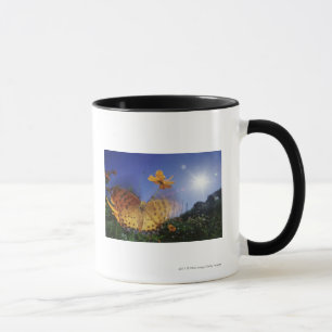 Nahaufnahme des Schmetterlinges, Flügel flatternd Tasse