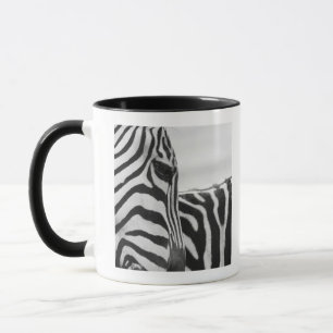 Nahaufnahme des Zebragesichtes und -schulter Tasse
