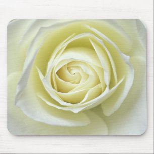 Nahaufnahme Details der weißen Rose Mousepad