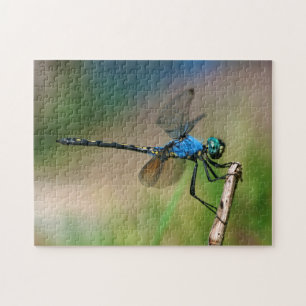 Nahaufnahme einer blauen Libelle auf einem Ast Puzzle