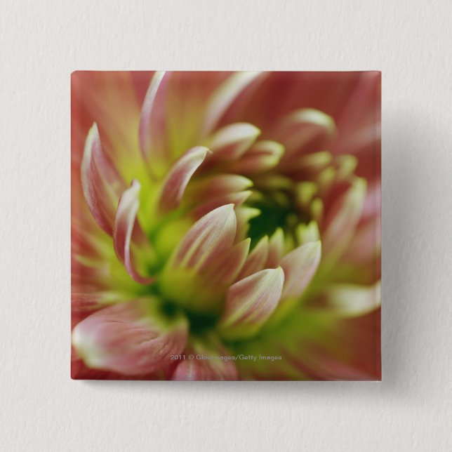 Nahaufnahme einer Blume Button (Vorderseite)