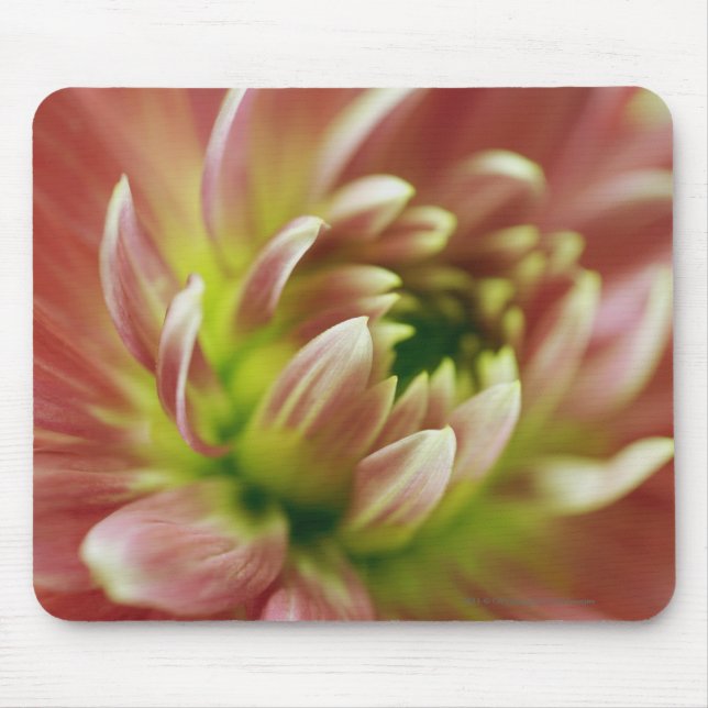 Nahaufnahme einer Blume Mousepad (Vorne)