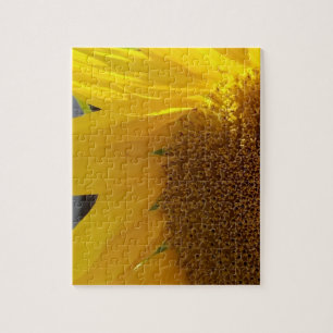 Nahaufnahme einer gelben Sonnenblume Puzzle