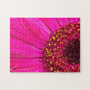 Nahaufnahme einer Gerbera-Margerite Puzzle