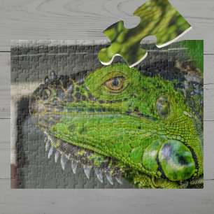 Nahaufnahme einer Grünen Leguan-Fotografie Puzzle