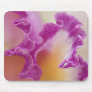 Nahaufnahme einer Hybrid-Orchidee, Delray Beach, F Mousepad